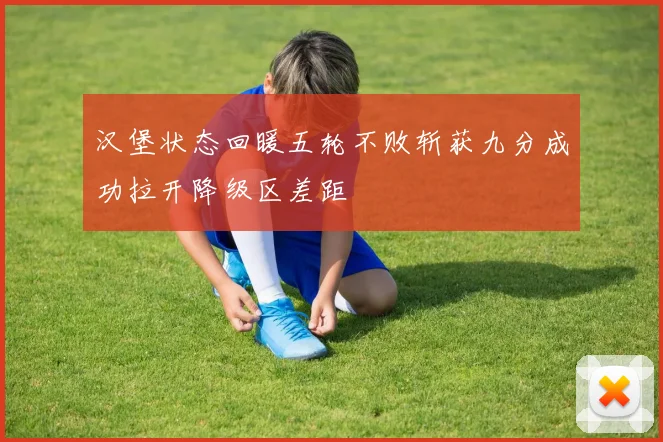汉堡状态回暖五轮不败斩获九分成功拉开降级区差距