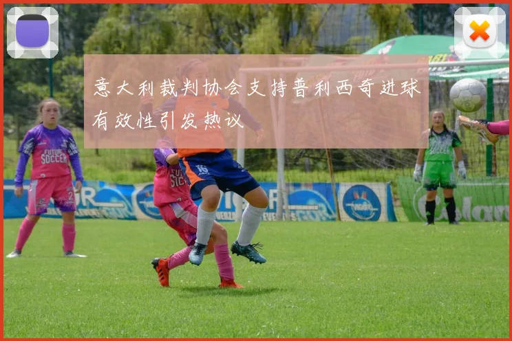 意大利裁判协会支持普利西奇进球有效性引发热议